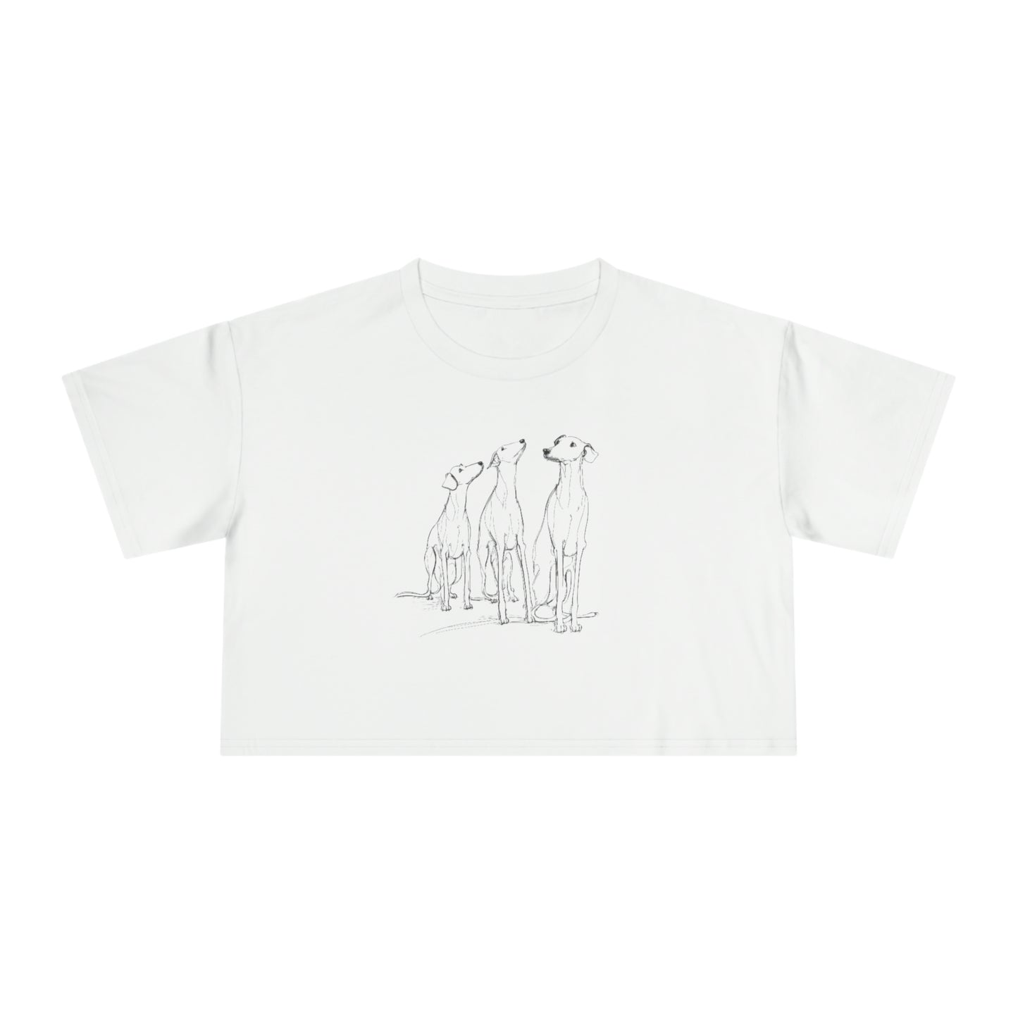 3 Hounds Greyhound Crop T-Shirt