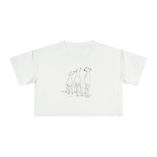 3 Hounds Greyhound Crop T-Shirt